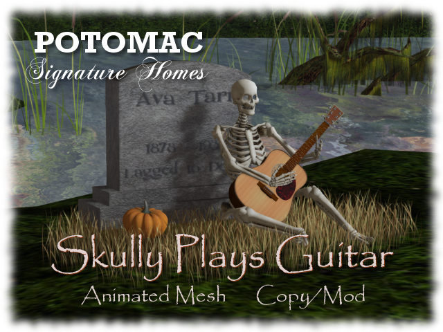 Skully Plays Guitar Ad 640x480
